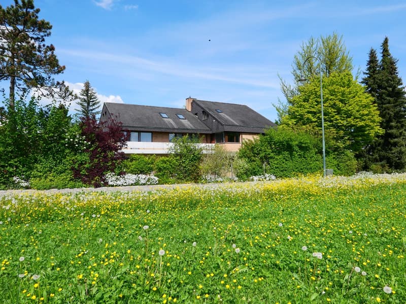 Maison unifamiliale ou 2 générations architecturalement élégante et très spacieuse ... (2)