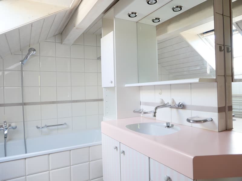 Maison unifamiliale ou 2 générations architecturalement élégante et très spacieuse ... (27)