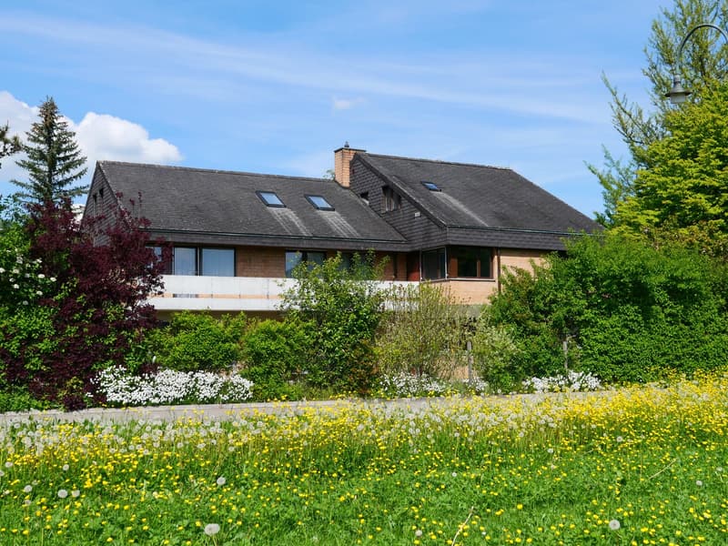 Maison unifamiliale ou 2 générations architecturalement élégante et très spacieuse ... (3)
