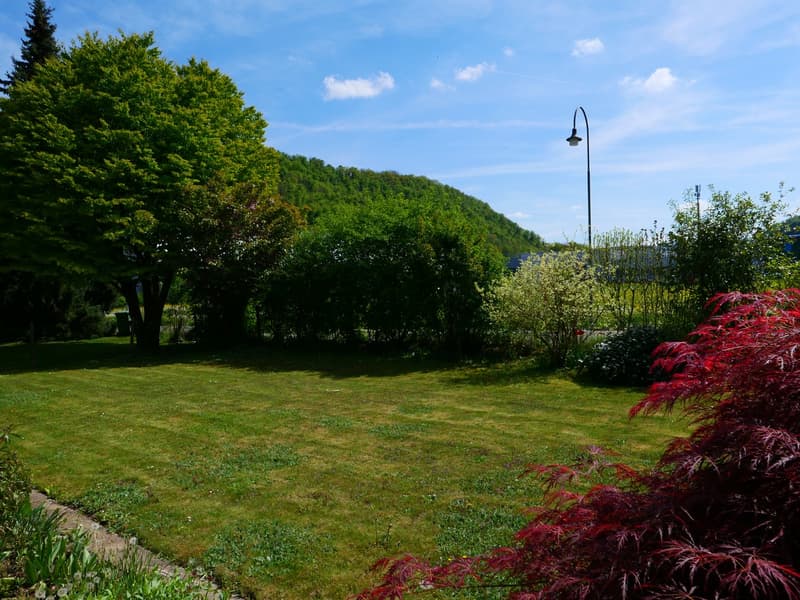 Maison unifamiliale ou 2 générations architecturalement élégante et très spacieuse ... (31)