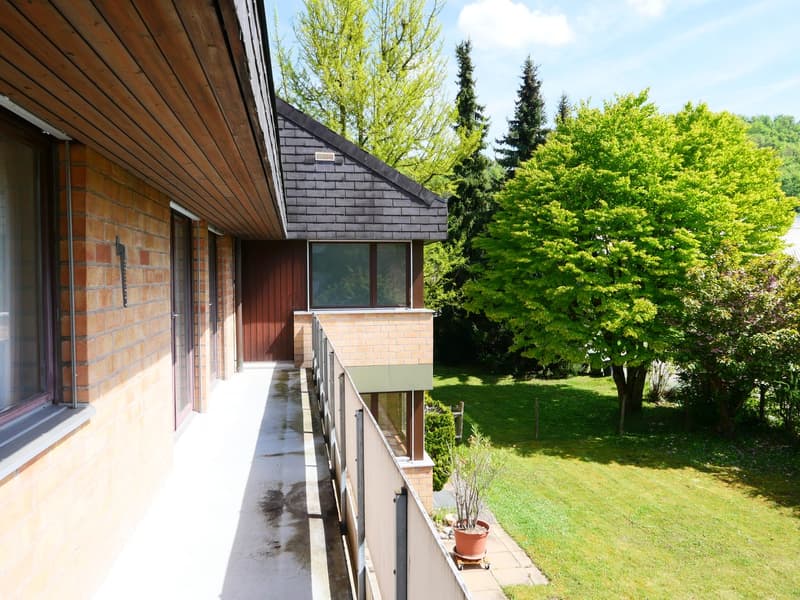 Maison unifamiliale ou 2 générations architecturalement élégante et très spacieuse ... (28)