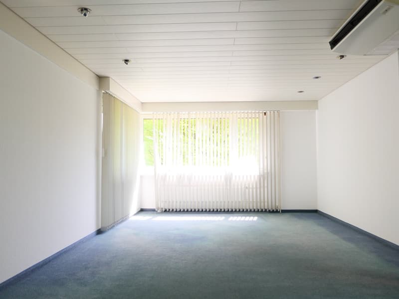 Maison unifamiliale ou 2 générations architecturalement élégante et très spacieuse ... (21)