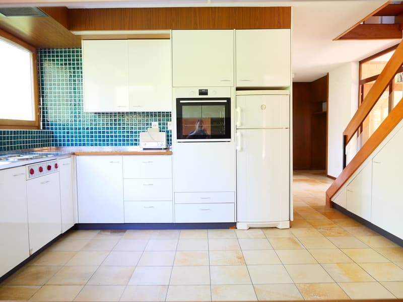 Maison unifamiliale ou 2 générations architecturalement élégante et très spacieuse ... (14)