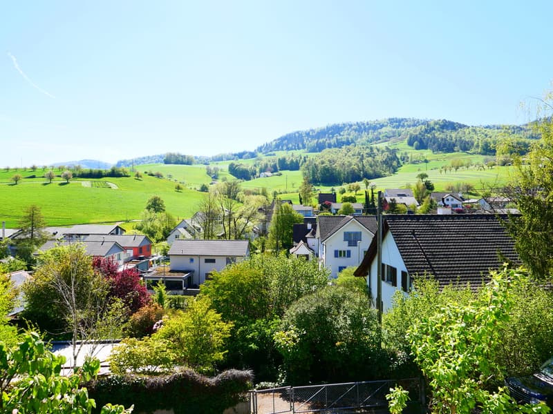 Well-maintained, detached 7 1/2-room single-family house with spacious surroundings ... (23)