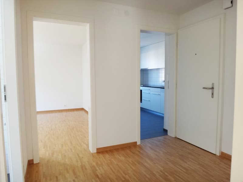 Bello appartamento 2 camere con grande terrazza vicino al centro del villaggio e alla stazione ... (4)