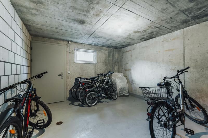 APPARTEMENT AVEC GALERIE (14)