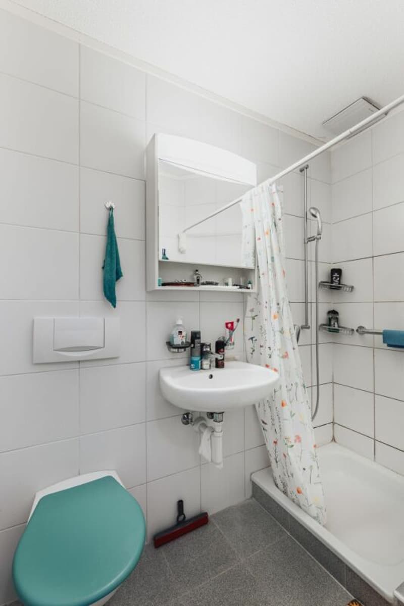 APPARTEMENT AVEC GALERIE (10)