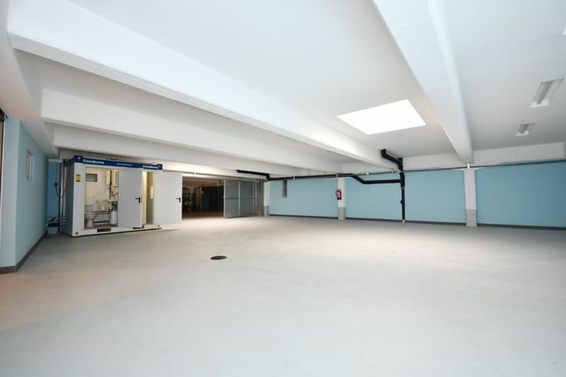 Autohalle/Werkstatt (8)