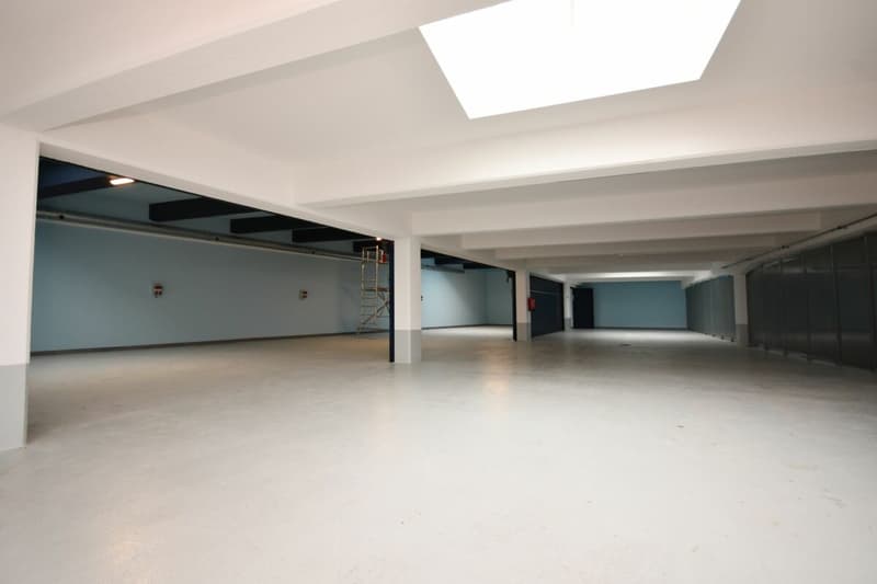 Autohalle/Werkstatt (6)