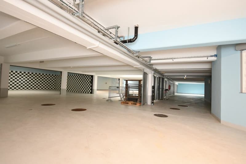 Autohalle/Werkstatt (3)