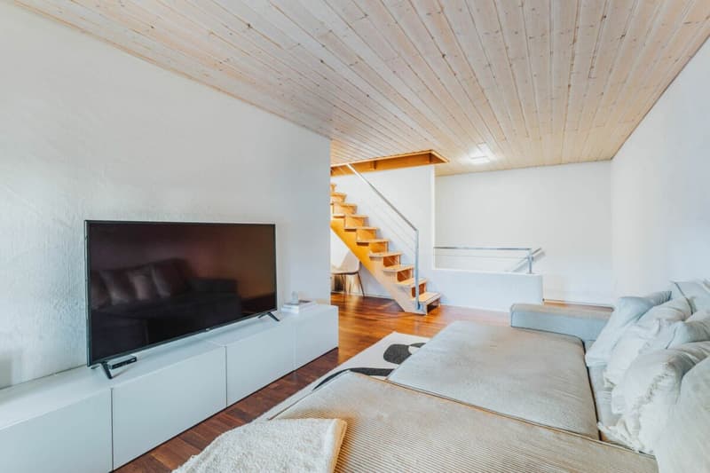 Partie de maison / Appartement en propriété de 7,5 pièces (13)