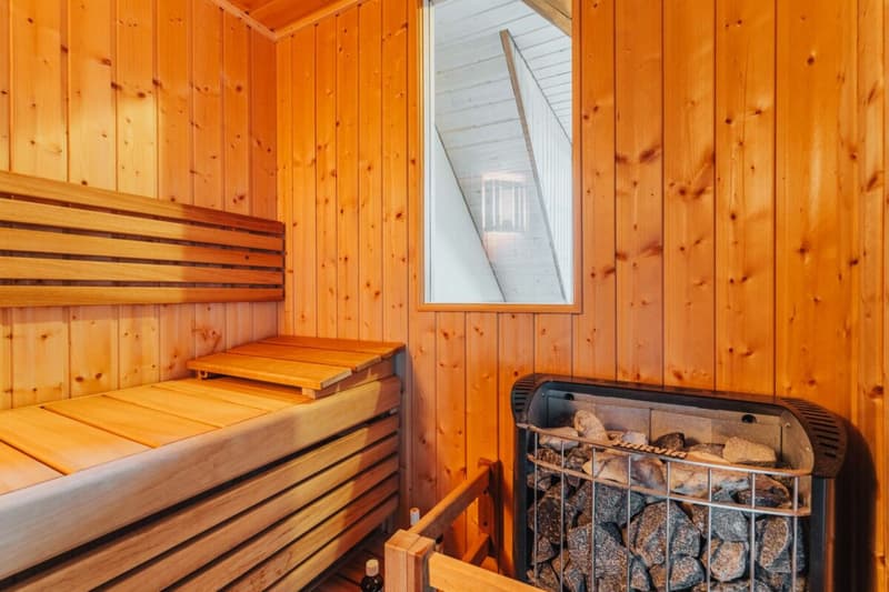 Partie de maison / Appartement en propriété de 7,5 pièces (22)