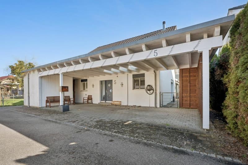 Single-family house (8)