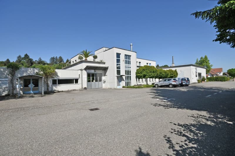 Studio / Locale Commerciale in Buona Posizione (2)