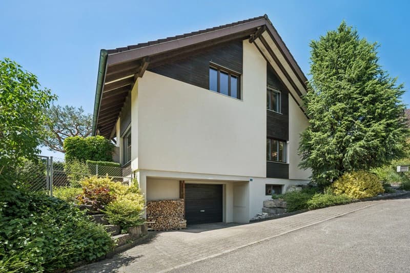 Single-family house (4)