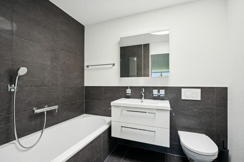Modern architecture with high construction standard (17)