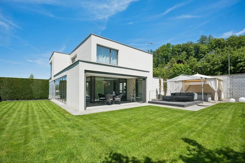 Modern architecture with high construction standard (1)