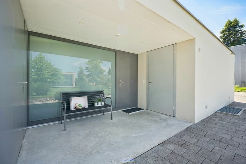 Modern architecture with high construction standard (5)