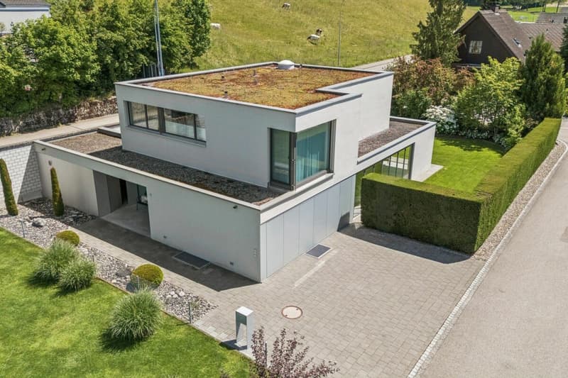 Modern architecture with high construction standard (2)