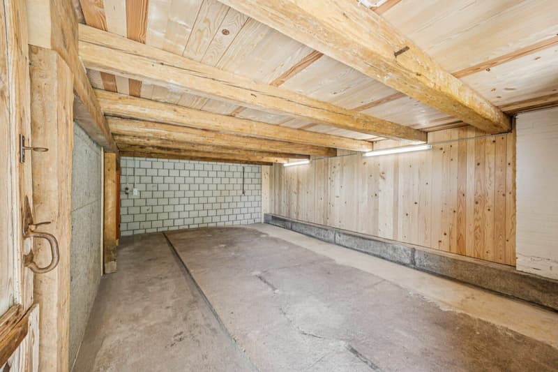 Bauernhaus mit Weitsicht und grosser Parzelle. (18)
