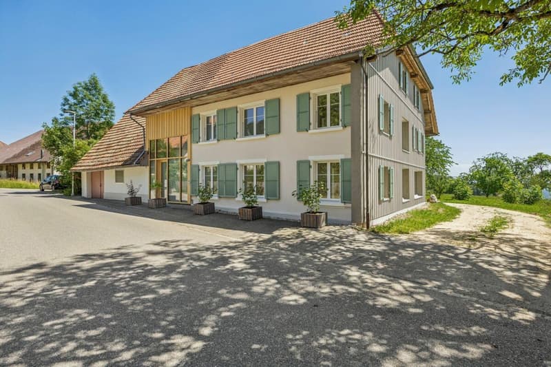 Bauernhaus mit Weitsicht und grosser Parzelle. (3)