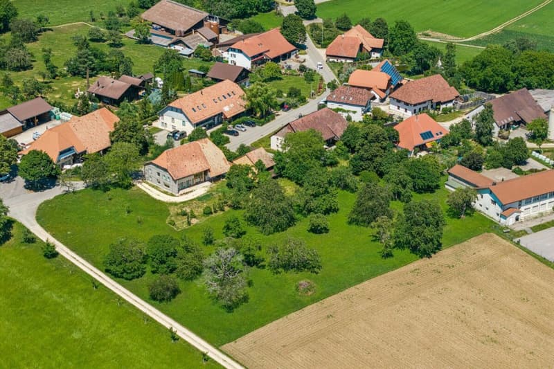 Bauernhaus mit Weitsicht und grosser Parzelle. (5)
