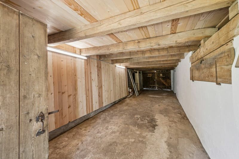 Bauernhaus mit Weitsicht und grosser Parzelle. (19)