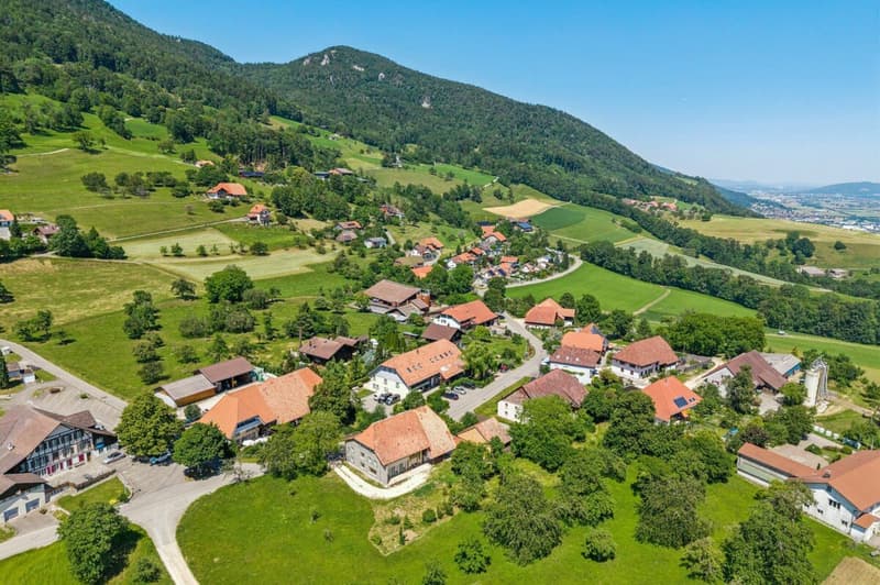 Bauernhaus mit Weitsicht und grosser Parzelle. (6)