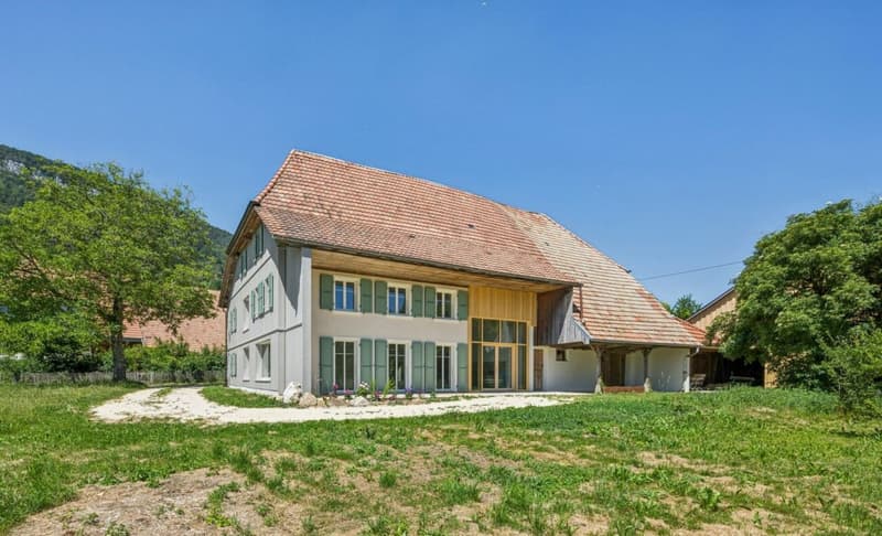 Bauernhaus mit Weitsicht und grosser Parzelle. (1)