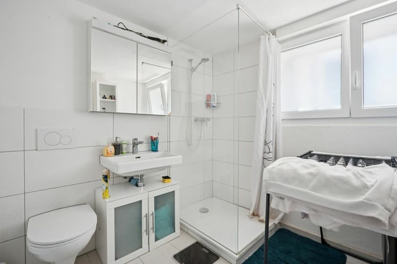 4-Familienhaus / Renditeobjekt (8)