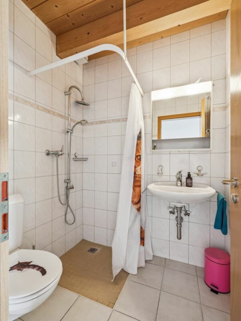 Mehrfamilienhaus mit Gewerberäumen, Garagen - Wohnen und Arbeiten am selben Ort, vielseitiges Renditeobjekt mit Entwicklungspotential. (4)