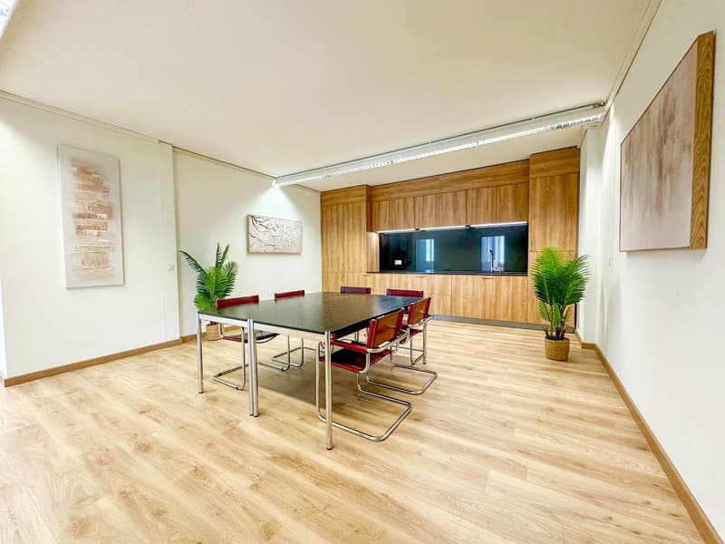 modern dining room with wooden floor, long table, red chairs, wooden cabinets, two potted plants, two paintings on the wall