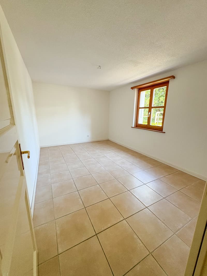 Appartement 4 pièces avec terrasse et cheminée (5)