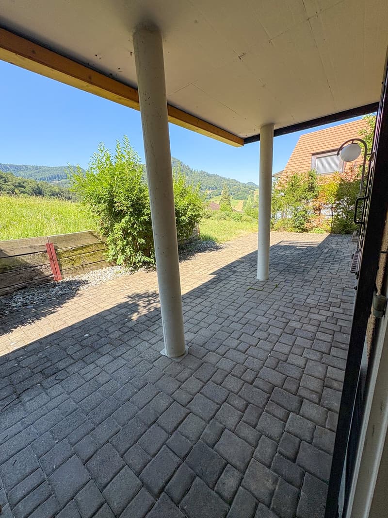Appartement 4 pièces avec terrasse et cheminée (3)