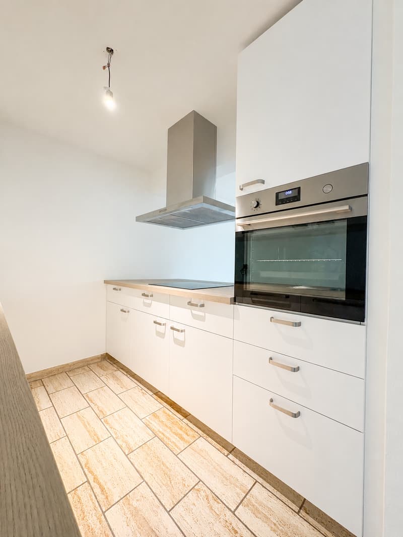 Appartement 4 pièces avec terrasse et cheminée (2)