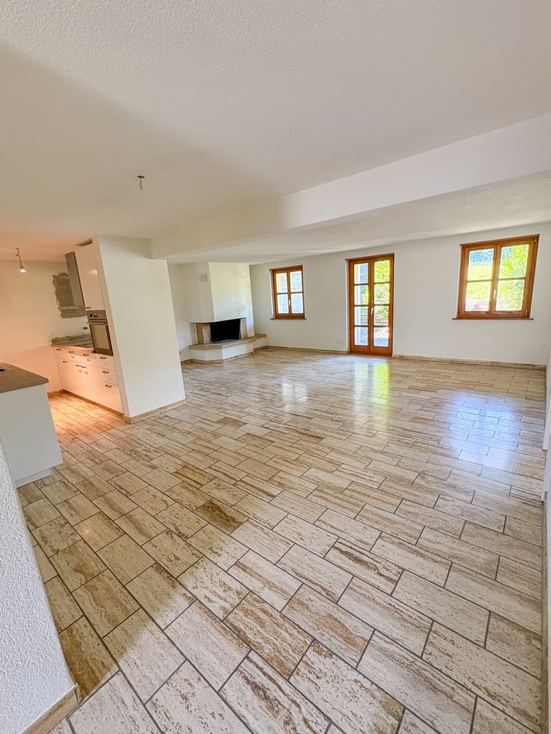 Appartement 4 pièces avec terrasse et cheminée (4)