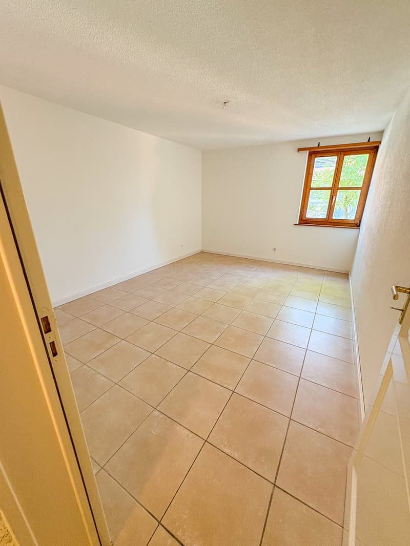 Appartement 4 pièces avec terrasse et cheminée (7)