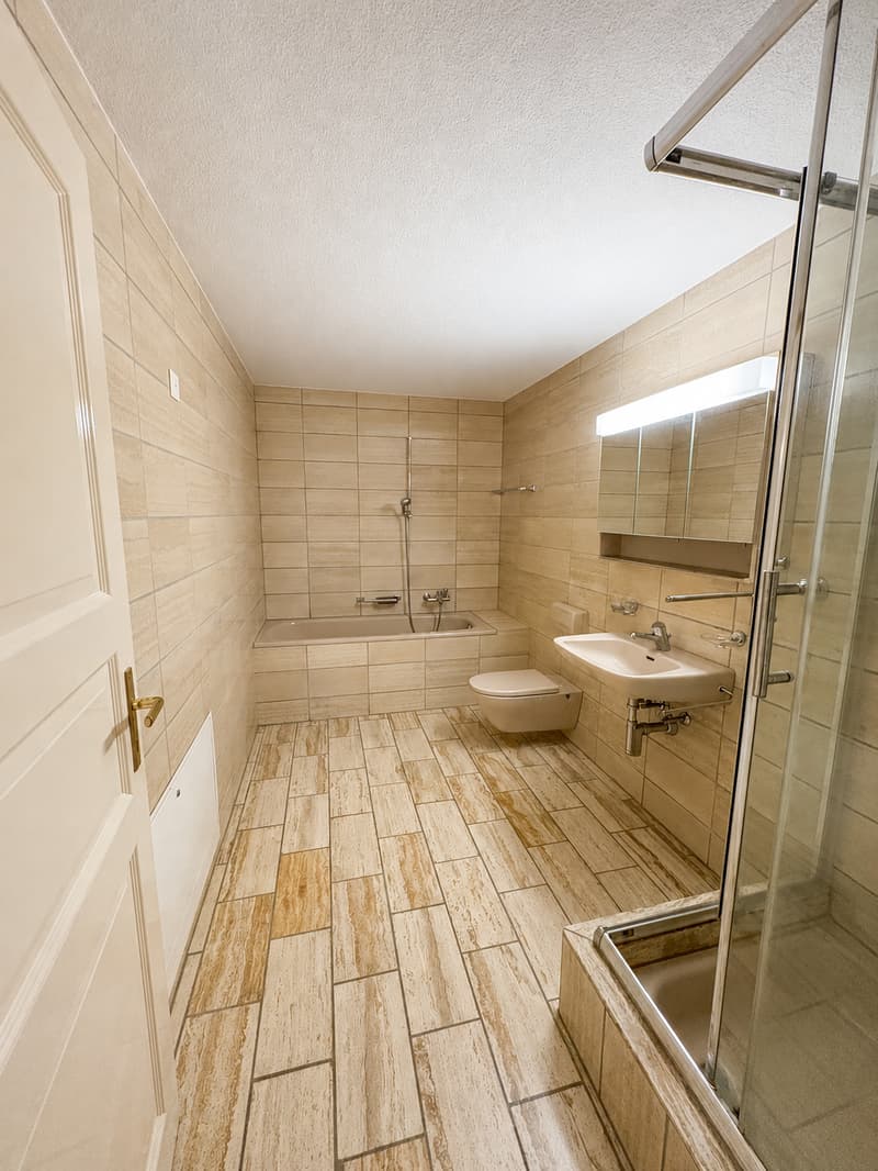 Appartement 4 pièces avec terrasse et cheminée (9)