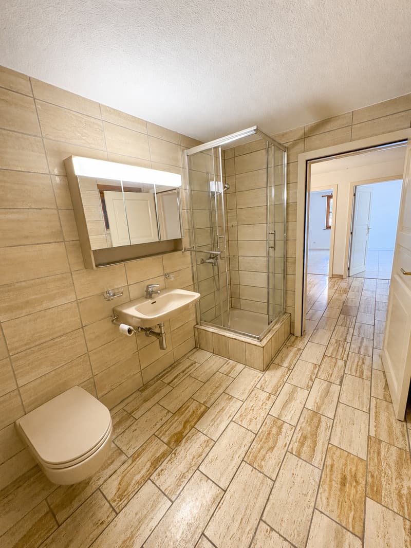 Appartement 4 pièces avec terrasse et cheminée (8)