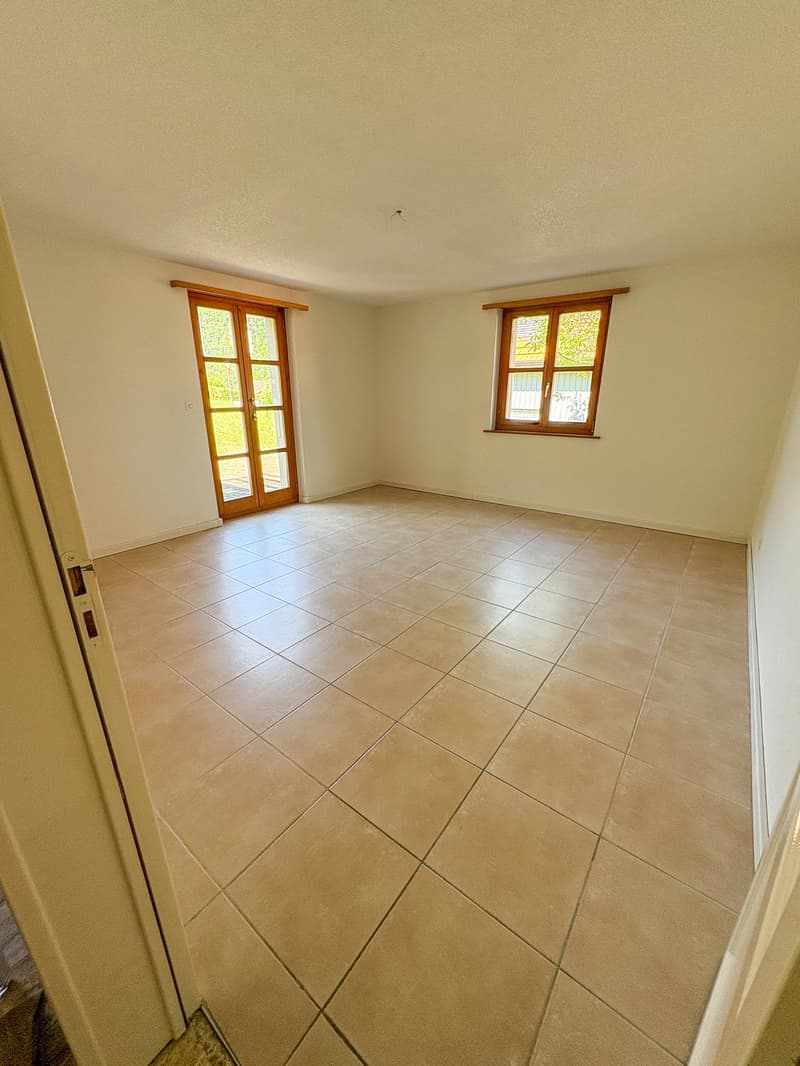 Appartement 4 pièces avec terrasse et cheminée (6)