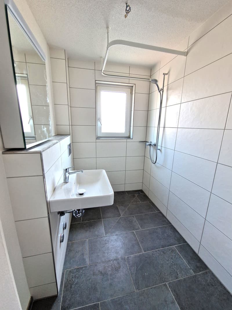 Appartement au-dessus des toits d'Oberburg ... (3)