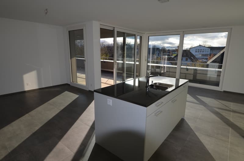 modern kitchen, counter, sink, faucet, cabinets, sliding glass doors, balcony