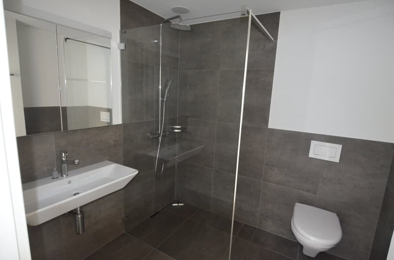 modern bathroom with shower cubicle, white sink, gray tiled walls, mirror, white toilet