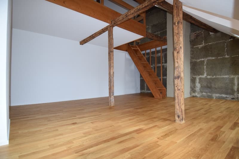 Grosszügige Altstadt-Dachwohnung auf drei Wohnebenen mit Loggia und Schlossblick (2)