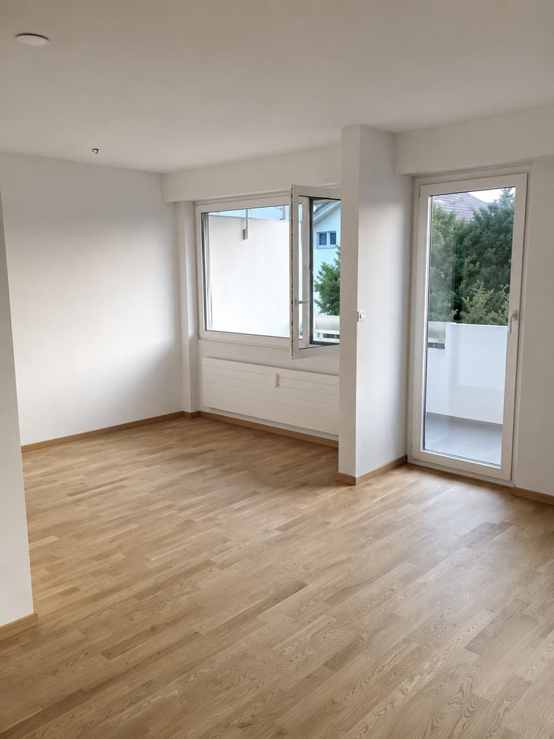 Appartamento luminoso 3.5 locali con balcone in una zona residenziale popolare in affitto (3)