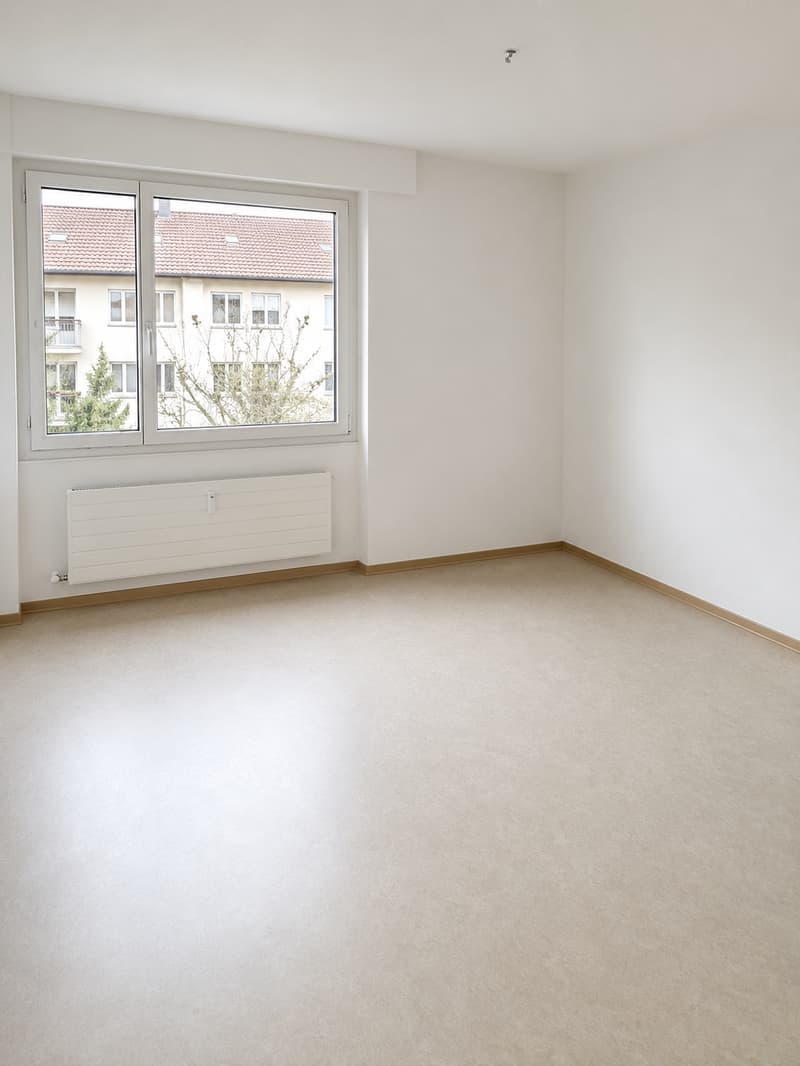 Appartamento luminoso 3.5 locali con balcone in una zona residenziale popolare in affitto (6)