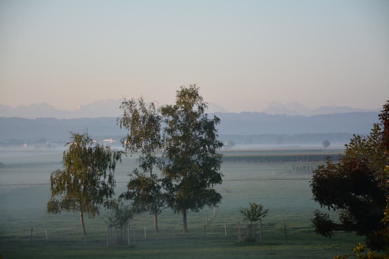 Appartamento attico esclusivo con panorama montano da sogno (14)