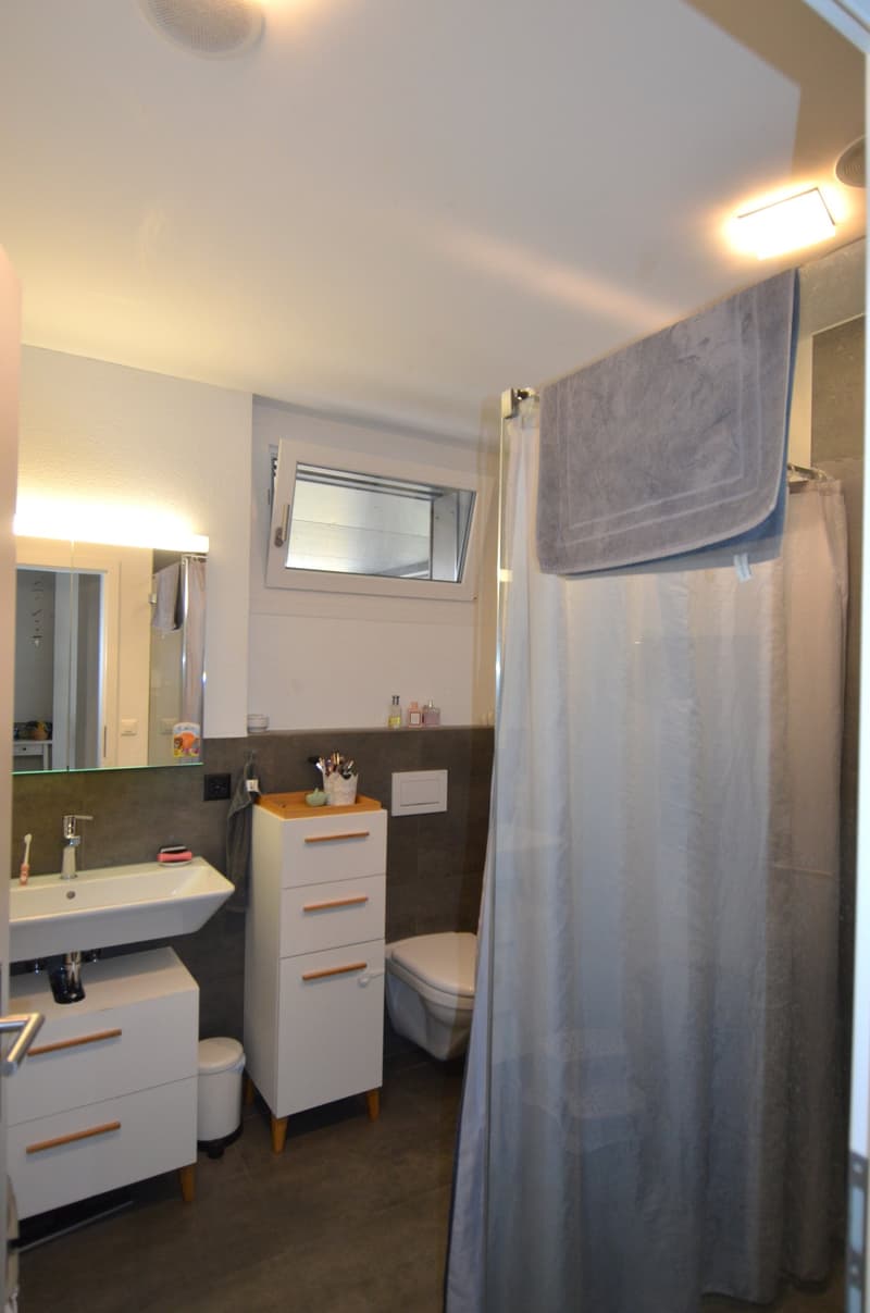 Schöne 3.5 Zimmer Attikawohnung im Oberdorfquartier (7)