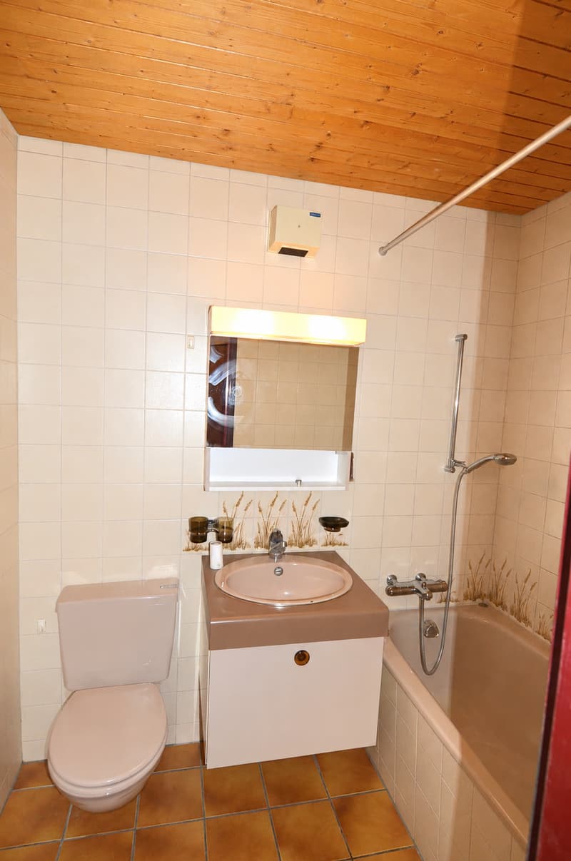 Cozy attic apartment with balcony in Hindelbank (5)