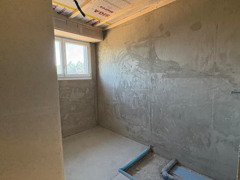 Appartement de 3,5 pièces rénové à neuf dans un quartier calme et central à Ersigen à louer (5)